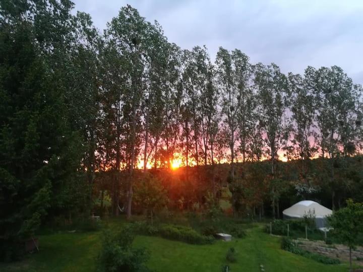 La Yourte Au Fonds Du Jardin Xhoris Esterno foto